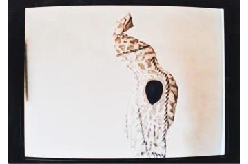 Erwin Wurm, aus der Serie 59 Stellungen [ SAV26 ]