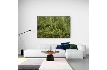 Alex Ruthner, Melody Day | Kunst Miete |