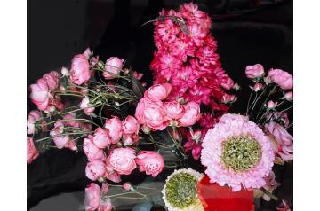 Araki Nobuyoshi, Ohne Titel  [ SAV26 ]