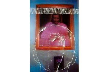 Gerald Hartwig, Diarios Mexicanos  [ SAV26 ]