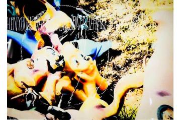 Gerald Hartwig, Diarios Mexicanos  [ SAV26 ]