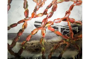 Hans Weigand, Ohne Titel   [ SAV26 ]