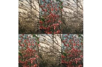 Jörg Schlick, Ohne Titel   [ SAV26 ]