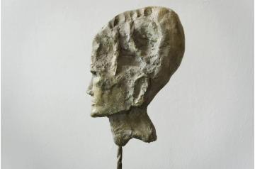 Bernd Fasching, Terra Nova Kopf