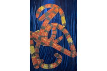 Simon Iurino, Ohne Titel [KPMG]