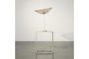 Rudolf Polanszky, Hypertransforme Skulptur   [ SAV26 ]