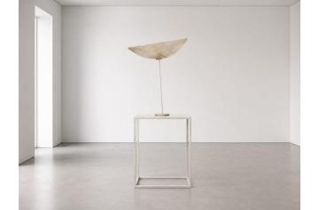 Rudolf Polanszky, Hypertransforme Skulptur  [DOUBLE]