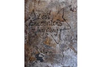 Valentino Skarwan, Lost Encounters    [SIMACEK AWARD 25 EDITIONS]