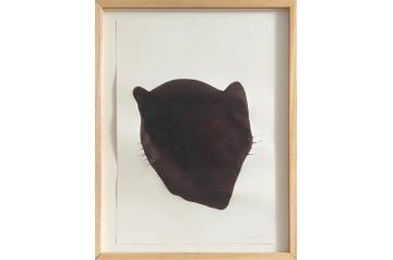 Chris Lane, pantera sambucus nigra, 2024  [Charity Rotary Kunstauktion 2025]