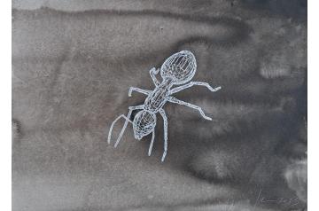 Peter Kogler, Ohne Titel [Charity Rotary Kunstauktion 2025]