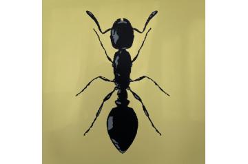 Peter Kogler, Ohne Titel  [AURUM 999,9]