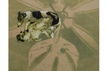 [YAA25] LOT05: Paulina Aumayr, Die Narben auf meiner Haut (1)