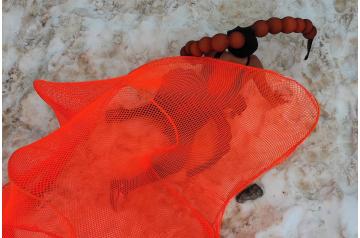 [YAA25] LOT27: Kollektiv Bande und Esther Stern, 2:1 – 47.2408187,10.5914369