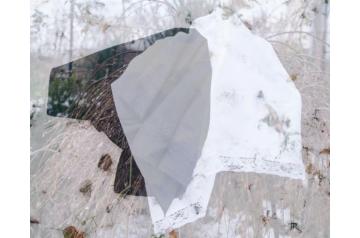 Dalmonia Rognean, Nowhere in Everywhere (1)