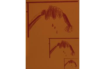 Cosima von Bonin, Ohne Titel