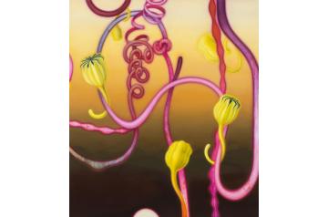 Luc Palmer, I see clearly now