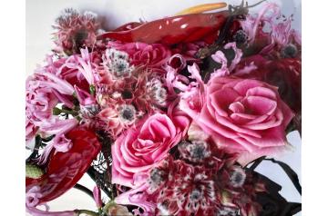 Nobuyoshi Araki, Ohne Titel   [ SAV26 ]