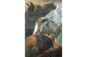 Sebastian Quast, Stutenherde