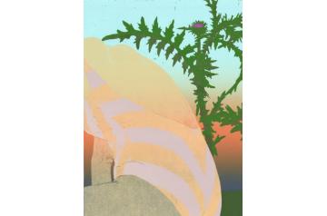 Eva Yurková, Thistle