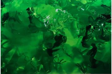 Martin Walde, Wunnasee  [ SAV26 ]