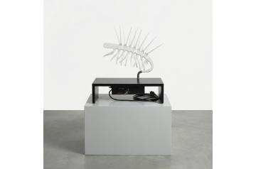 Martin Walde, Halucigenia II  [ SAV26 ]