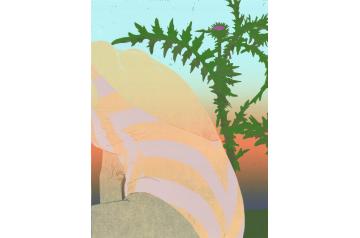 Eva Yurková, Thistle