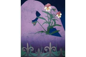 Eva Yurková, Pansies (Night)