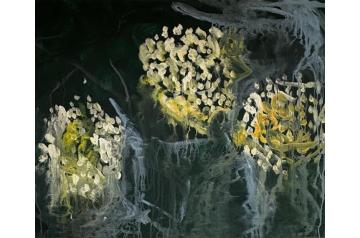 Alex Ruthner, Hortensien bei Nacht