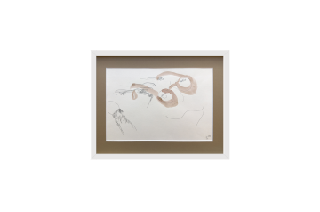 Brigitte Zauner, Brille [ TU Alumni ]