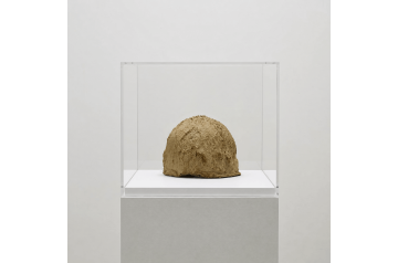 Louise Deininger, #disgustdisgust 1   [DOUBLE]