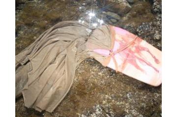 Dalmonia Rognean, Take me on a search beyond form and land,