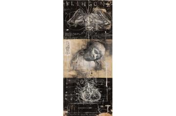 Tomak,  Klingon brains - talking souls